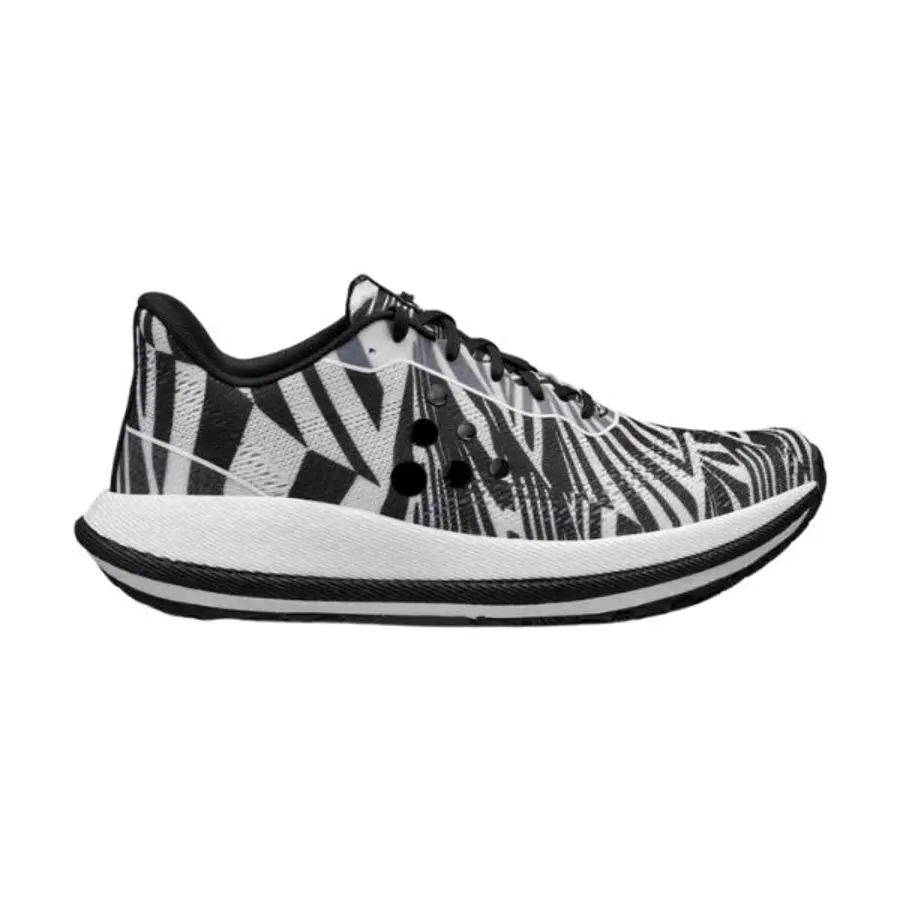CRAFT Pacer 2 M
