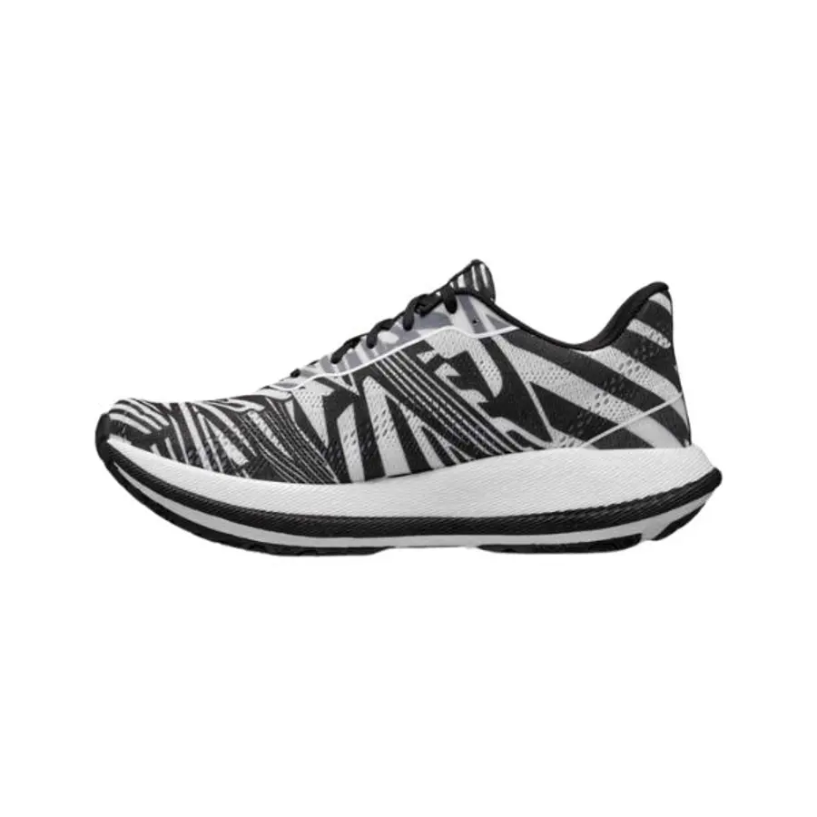 CRAFT Pacer 2 M