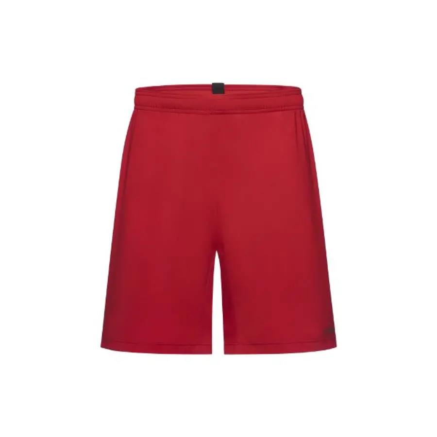 GORE Concurve 7" shorts M