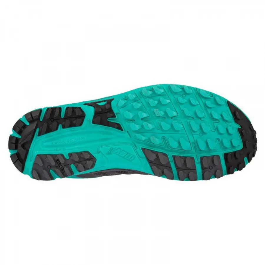 INOV-8 Parkclaw 275 GTX (S) W