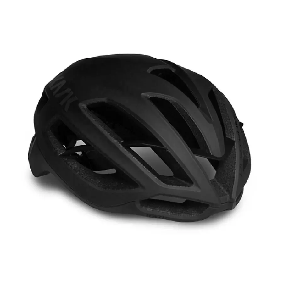KASK Protone Icon helmet