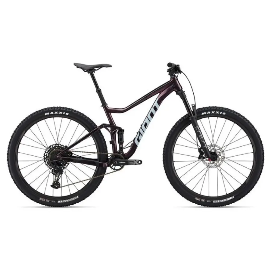 GIANT Stance 29 1