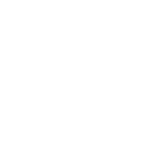 Speedo